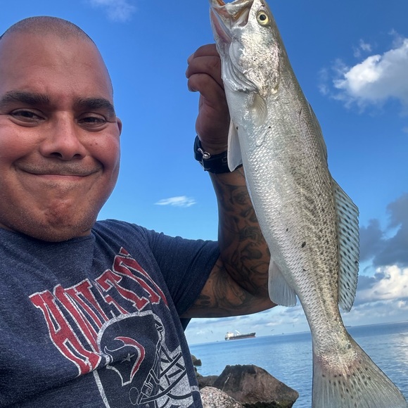 Meet your Posher, Joe - Picture 6 of 9